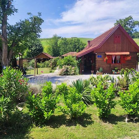 Hotel Pod Orehom Drvena Kuca I Sauna Krapina Zewnętrze zdjęcie