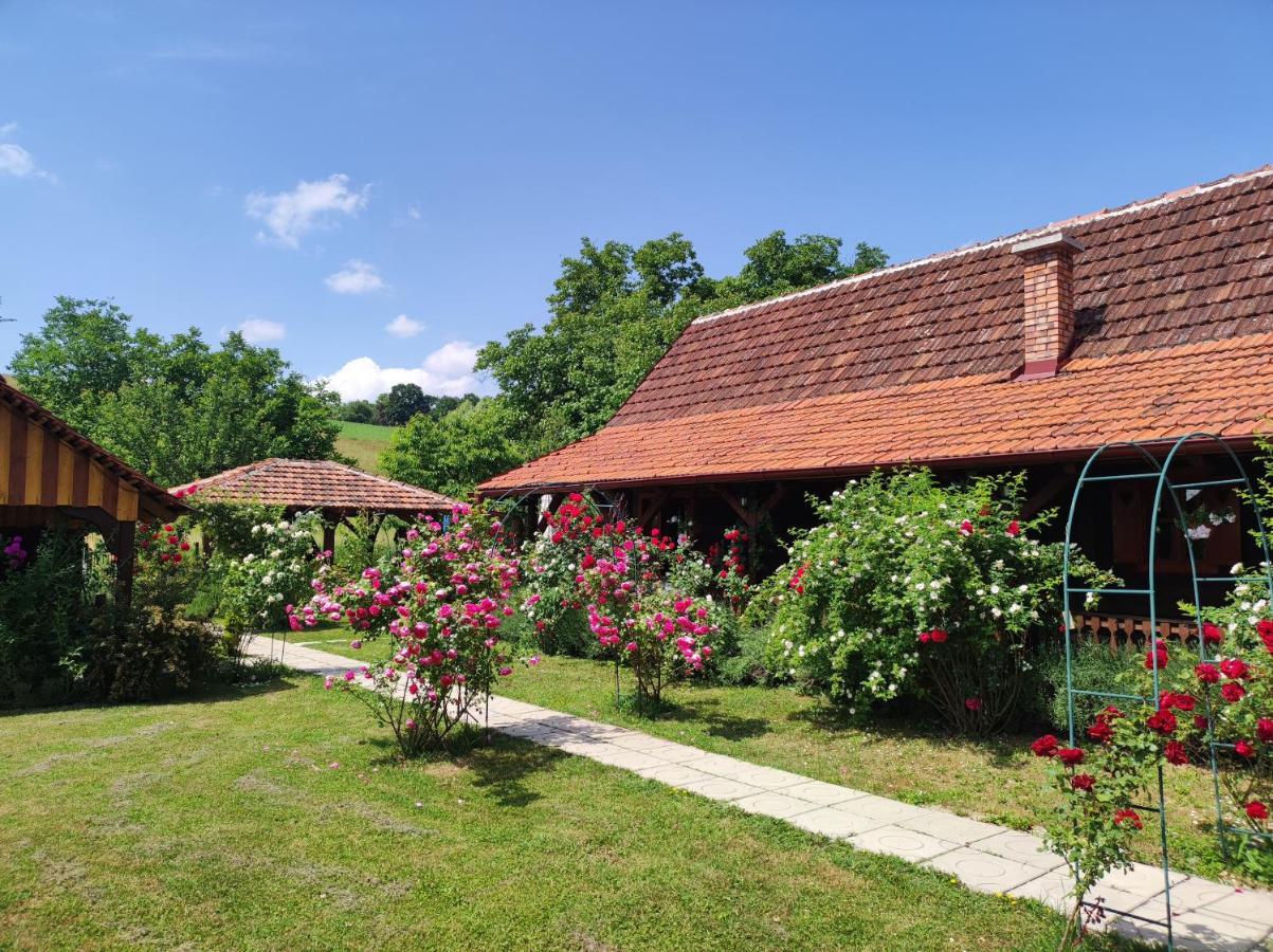 Hotel Pod Orehom Drvena Kuca I Sauna Krapina Zewnętrze zdjęcie