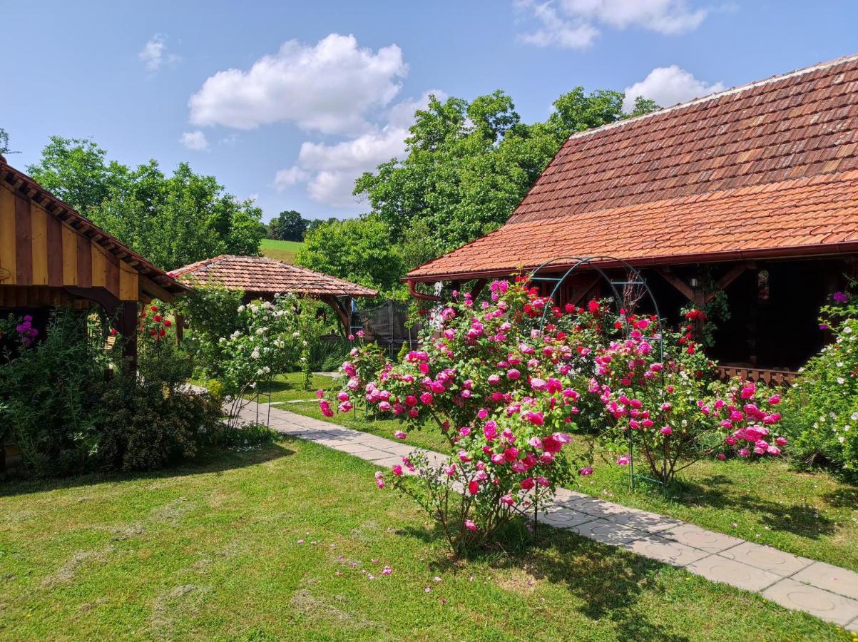 Hotel Pod Orehom Drvena Kuca I Sauna Krapina Zewnętrze zdjęcie