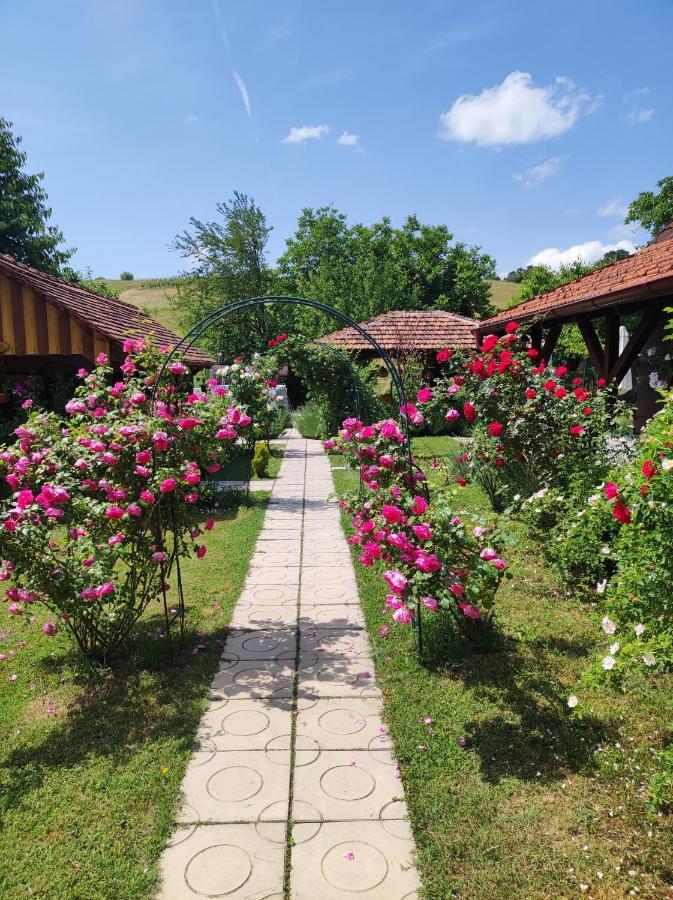 Hotel Pod Orehom Drvena Kuca I Sauna Krapina Zewnętrze zdjęcie